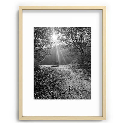 "Sunlit Solitude" by Maria Popova Framed Art Print Gallery Image 72
