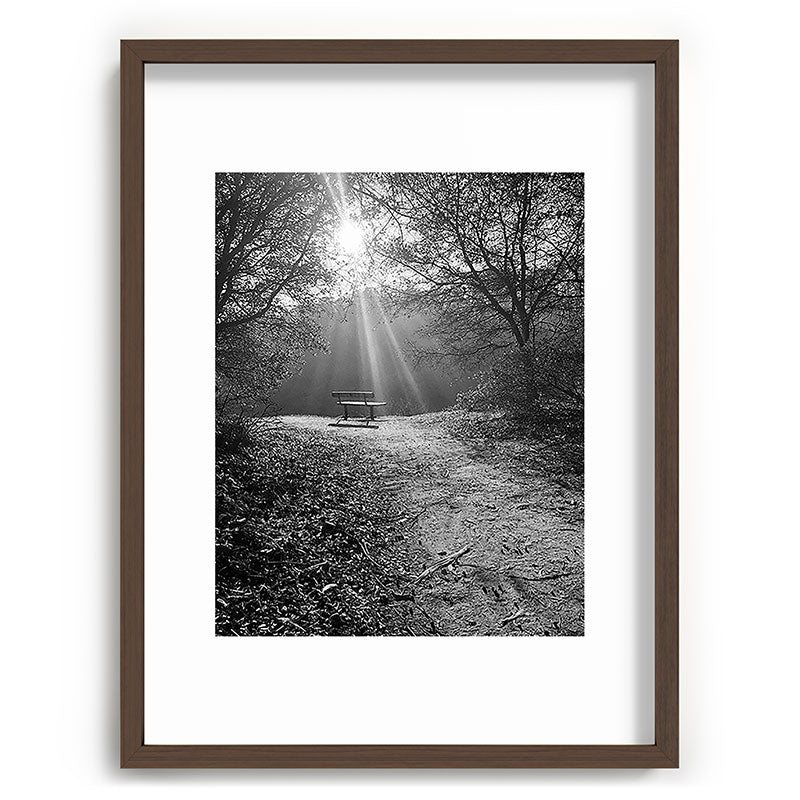 "Sunlit Solitude" by Maria Popova Framed Art Print Gallery Image 66