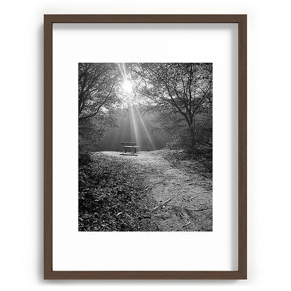 "Sunlit Solitude" by Maria Popova Framed Art Print Gallery Image 66