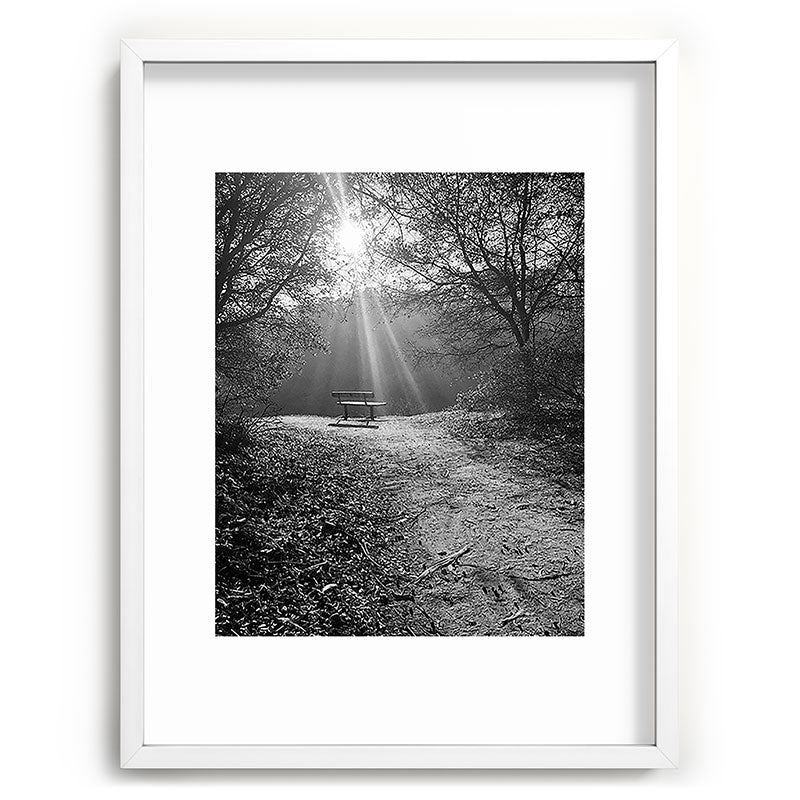 "Sunlit Solitude" by Maria Popova Framed Art Print Gallery Image 78