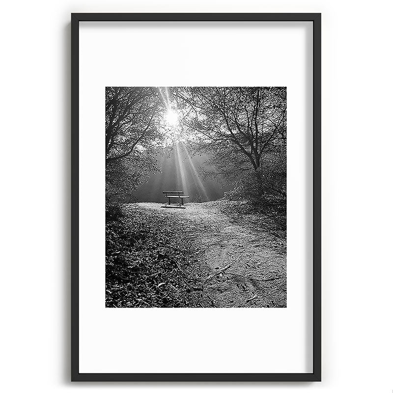 "Sunlit Solitude" by Maria Popova Framed Art Print Gallery Image 62