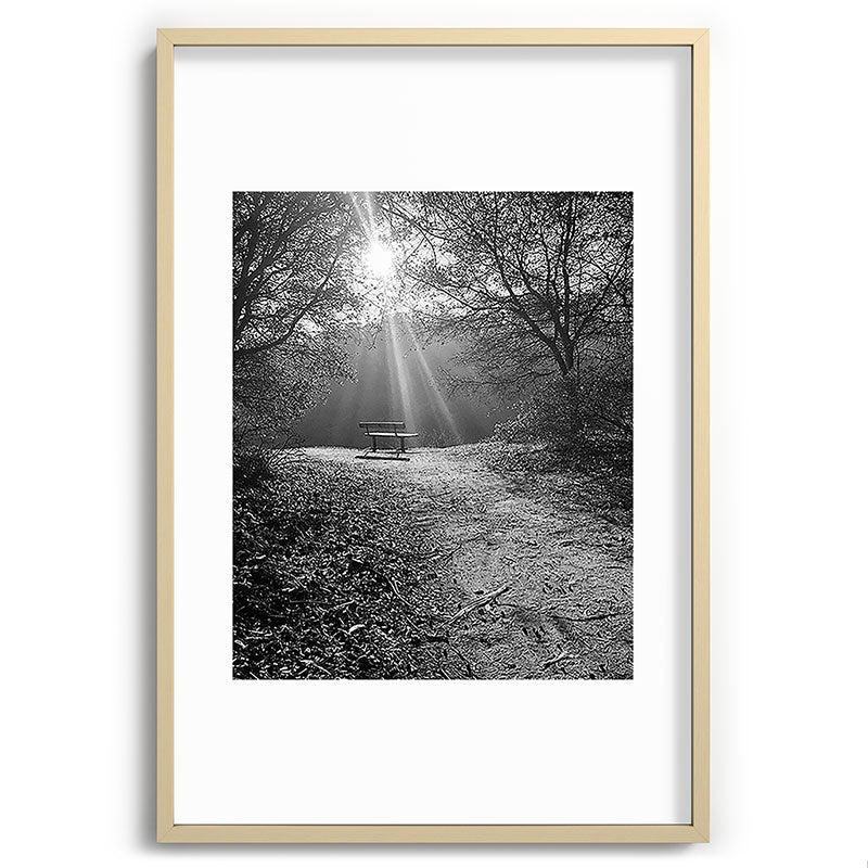 "Sunlit Solitude" by Maria Popova Framed Art Print Gallery Image 74