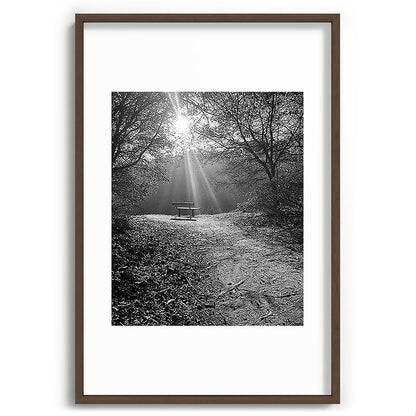 "Sunlit Solitude" by Maria Popova Framed Art Print Gallery Image 68