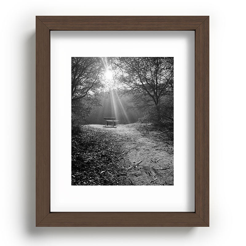 "Sunlit Solitude" by Maria Popova Framed Art Print Gallery Image 64