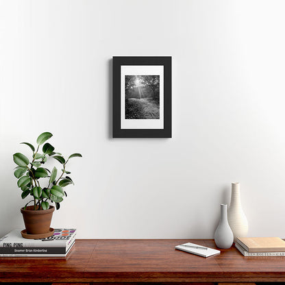 "Sunlit Solitude" by Maria Popova Framed Art Print Gallery Image 31