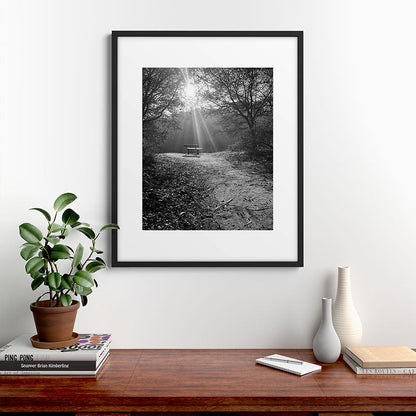"Sunlit Solitude" by Maria Popova Framed Art Print Gallery Image 7