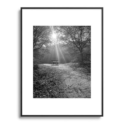 "Sunlit Solitude" by Maria Popova Framed Art Print Gallery Image 85
