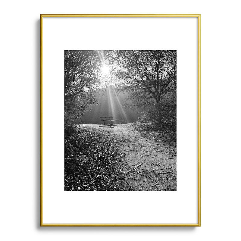 "Sunlit Solitude" by Maria Popova Framed Art Print Gallery Image 91