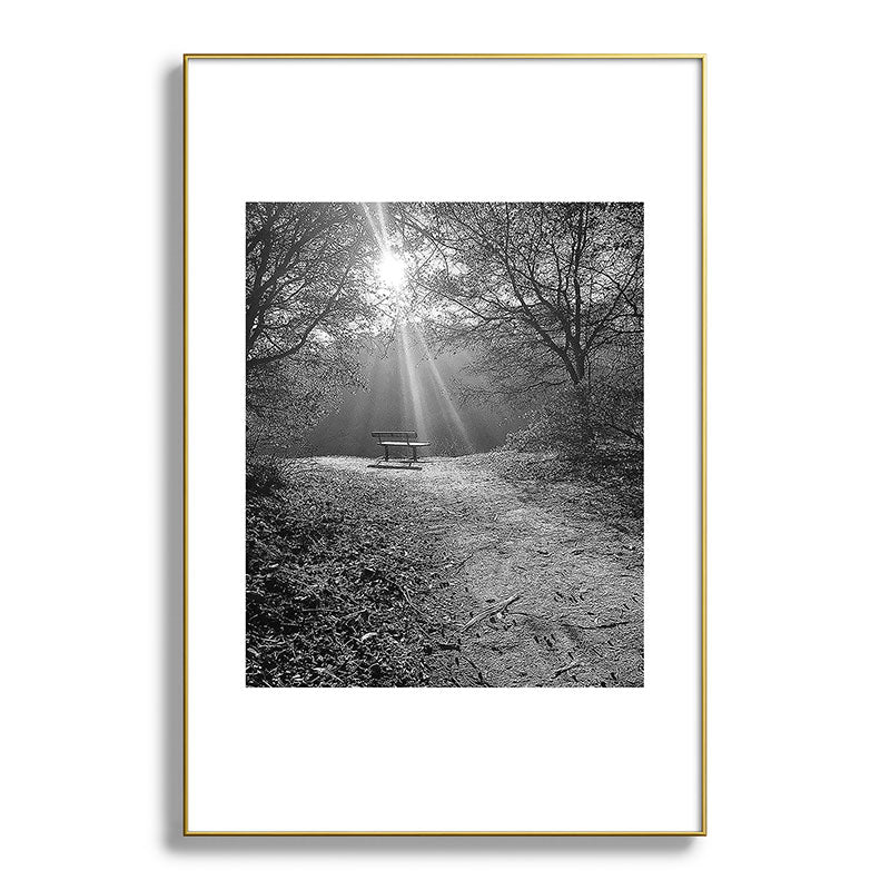 "Sunlit Solitude" by Maria Popova Framed Art Print Gallery Image 94