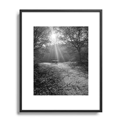 "Sunlit Solitude" by Maria Popova Framed Art Print Gallery Image 82