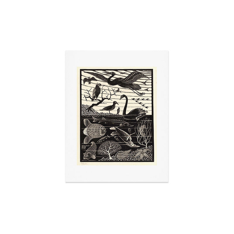 "The Fifth Day of Creation" by M.C. Escher Art Print Gallery Image 3