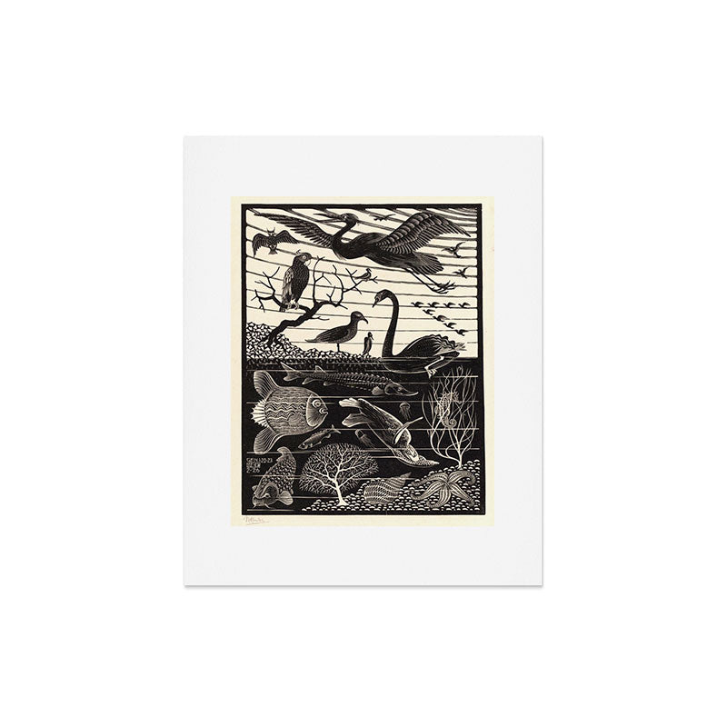 "The Fifth Day of Creation" by M.C. Escher Art Print Gallery Image 4