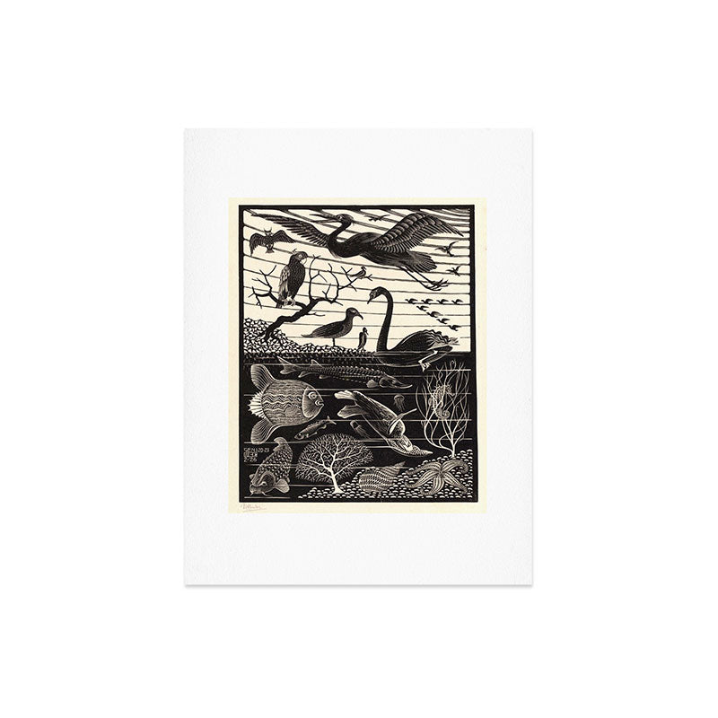 "The Fifth Day of Creation" by M.C. Escher Art Print Gallery Image 6