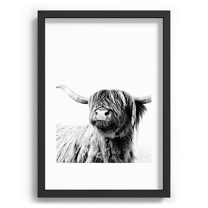 HIGHLAND CATTLE FRIDA Framed Art Print Gallery Image 81