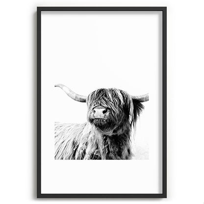 HIGHLAND CATTLE FRIDA Framed Art Print Gallery Image 85