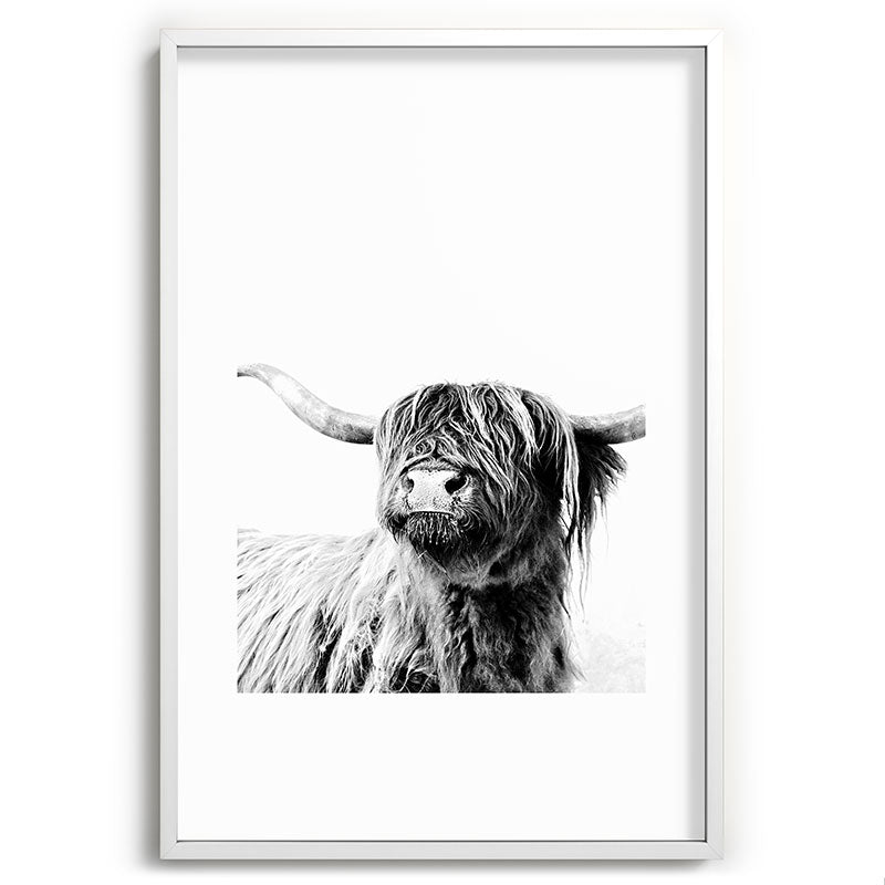 HIGHLAND CATTLE FRIDA Framed Art Print Gallery Image 110