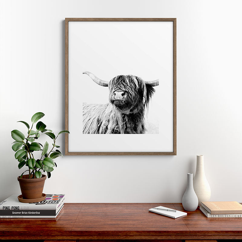 HIGHLAND CATTLE FRIDA Framed Art Print Gallery Image 19
