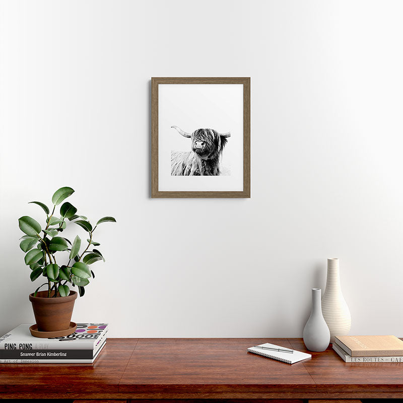 HIGHLAND CATTLE FRIDA Framed Art Print Gallery Image 53