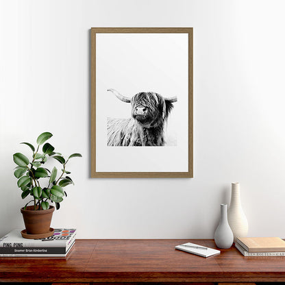 HIGHLAND CATTLE FRIDA Framed Art Print Gallery Image 56