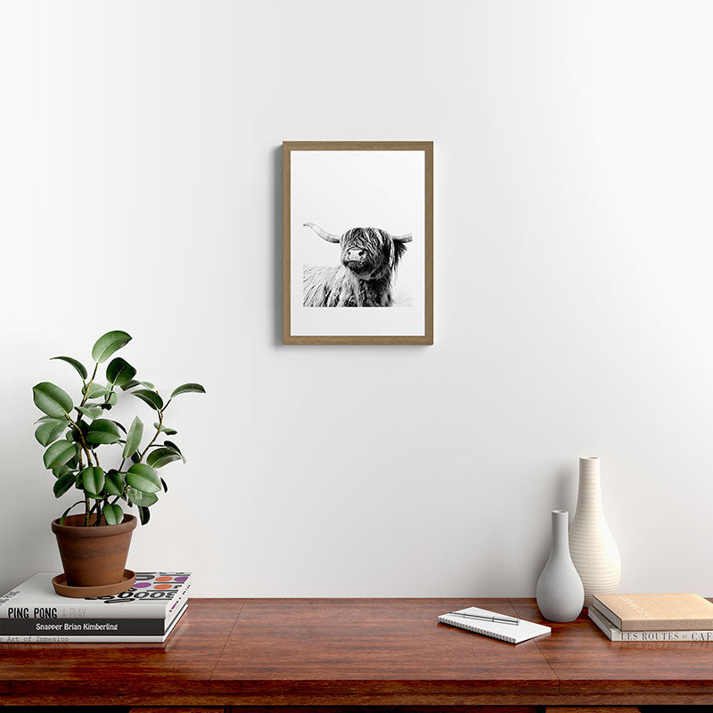 HIGHLAND CATTLE FRIDA Framed Art Print Gallery Image 14