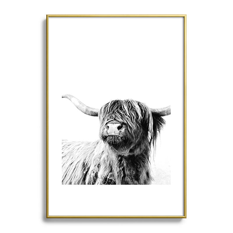 HIGHLAND CATTLE FRIDA Framed Art Print Gallery Image 123