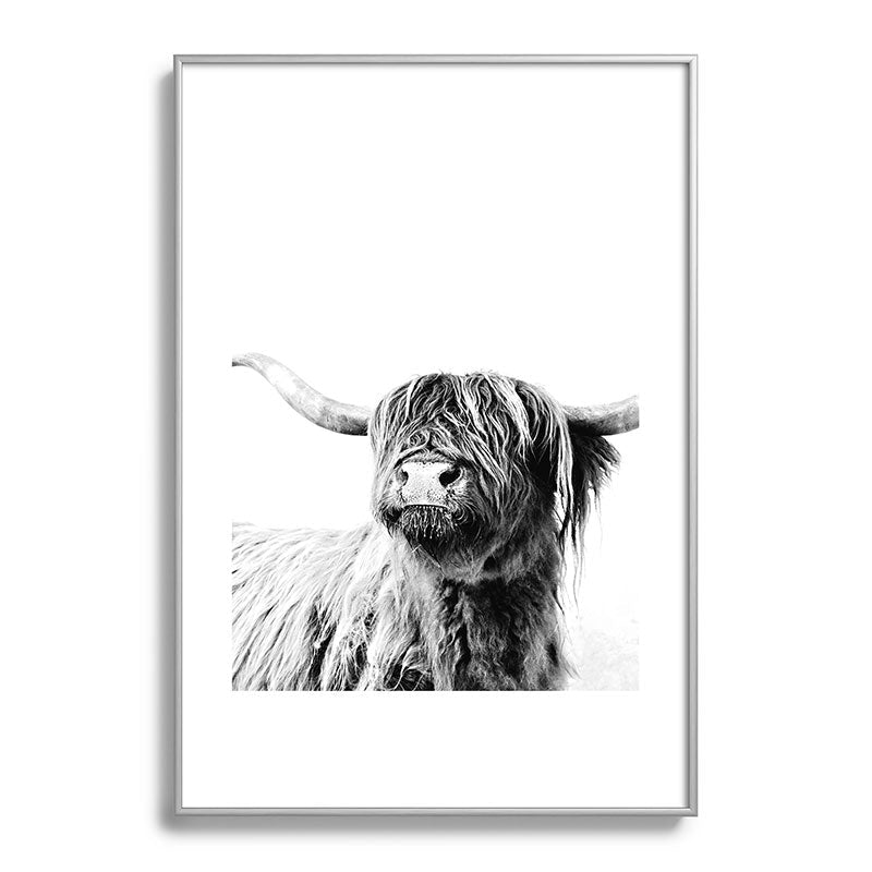 HIGHLAND CATTLE FRIDA Framed Art Print Gallery Image 132