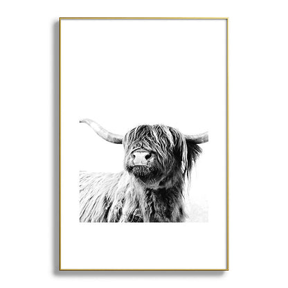 HIGHLAND CATTLE FRIDA Framed Art Print Gallery Image 127