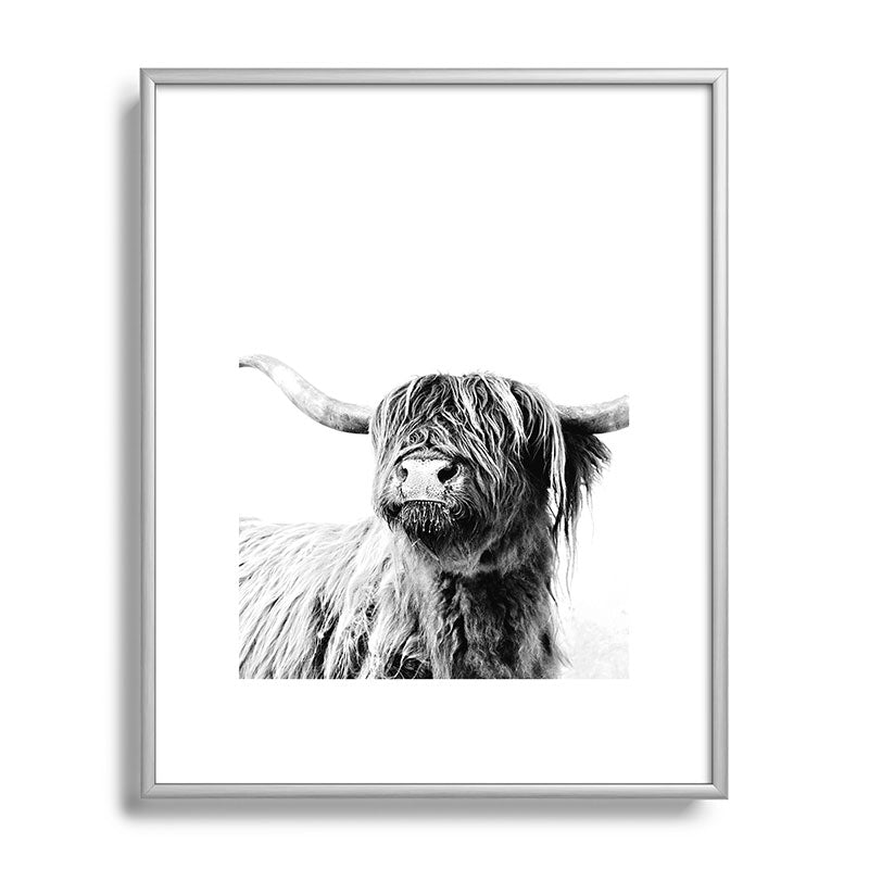 HIGHLAND CATTLE FRIDA Framed Art Print Gallery Image 129
