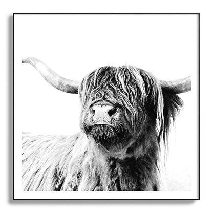 HIGHLAND CATTLE FRIDA Framed Art Print Gallery Image 130