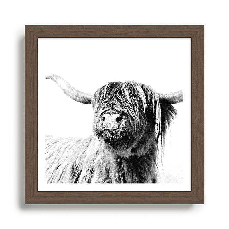 HIGHLAND CATTLE FRIDA Framed Art Print Gallery Image 13