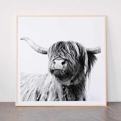 HIGHLAND CATTLE FRIDA Framed Art Print Gallery Image 33