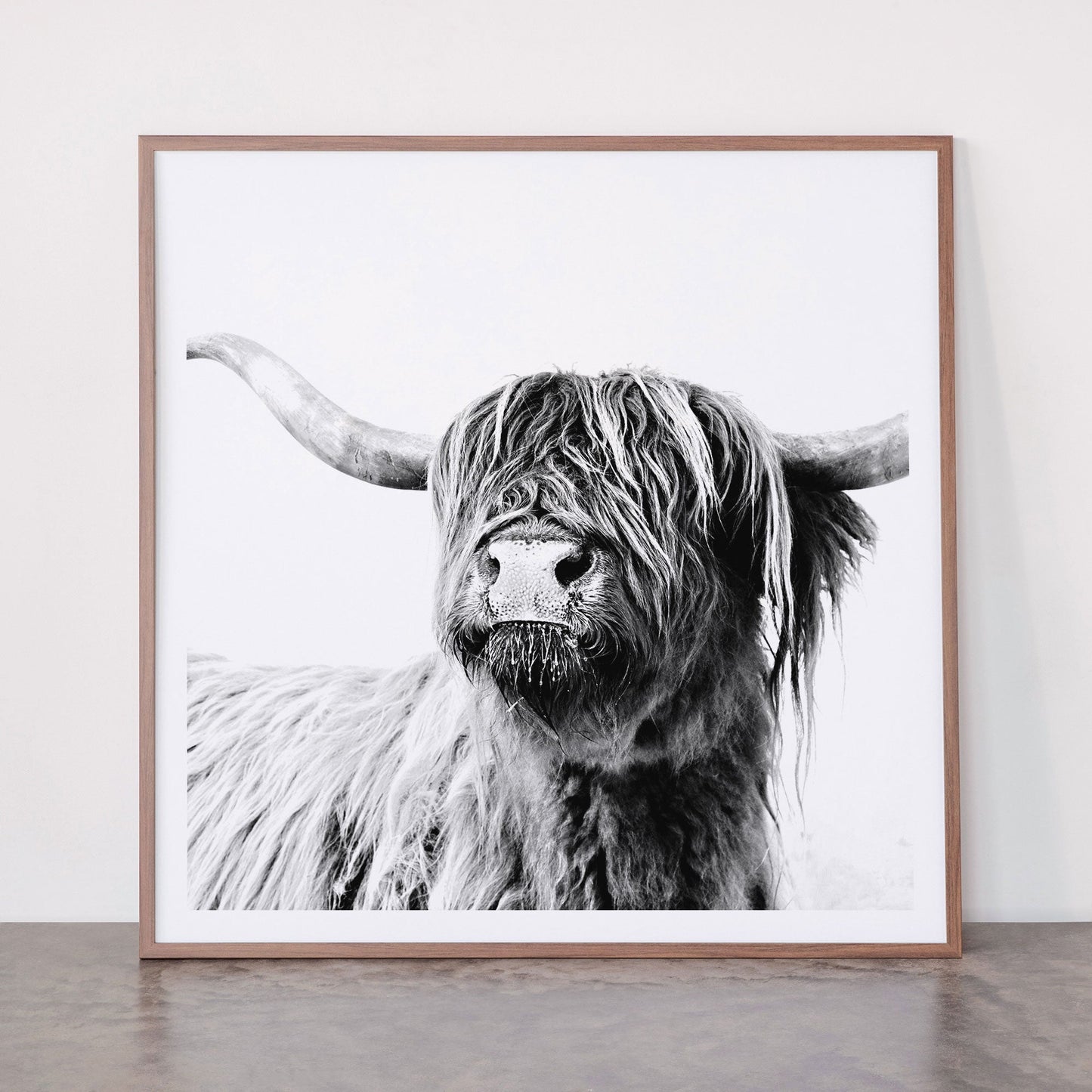 HIGHLAND CATTLE FRIDA Framed Art Print Gallery Image 21