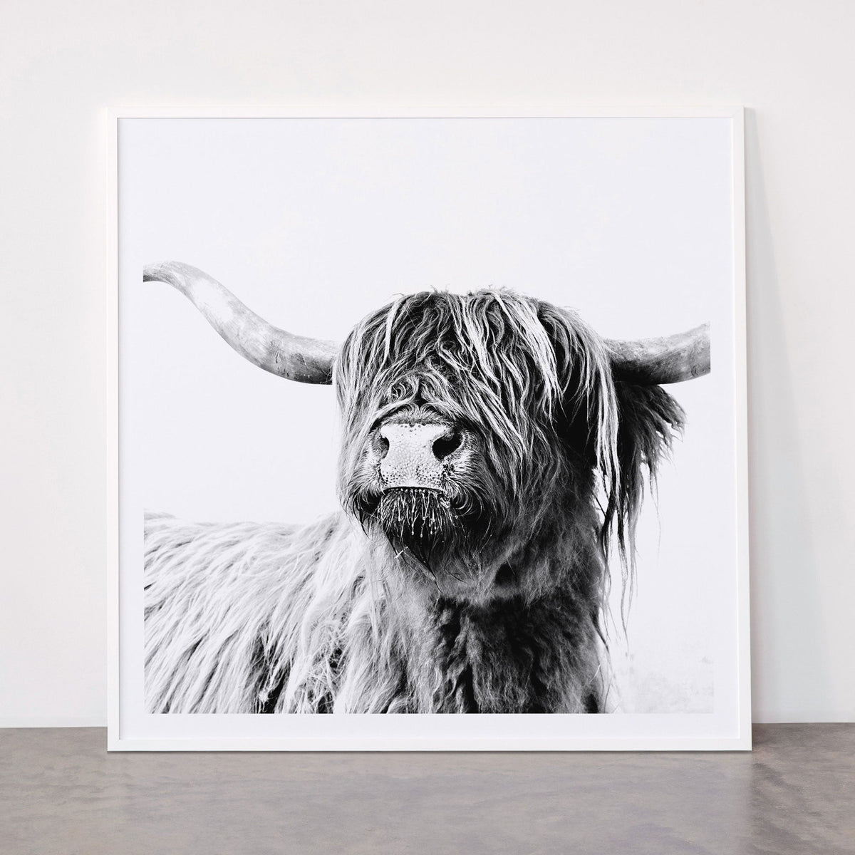HIGHLAND CATTLE FRIDA Framed Art Print Gallery Image 43