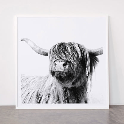 HIGHLAND CATTLE FRIDA Framed Art Print Gallery Image 43