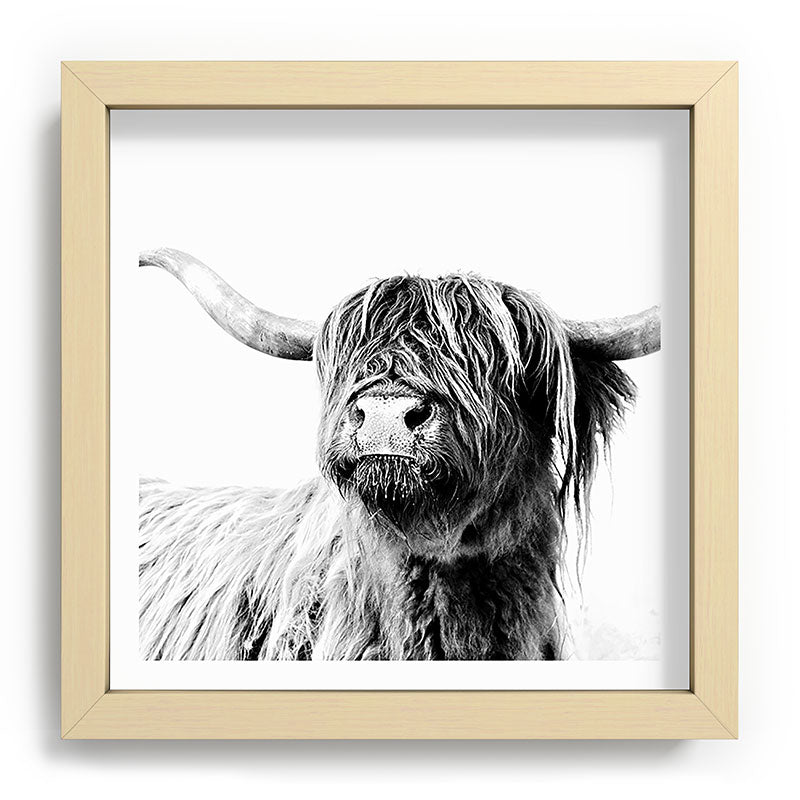 HIGHLAND CATTLE FRIDA Framed Art Print Gallery Image 106