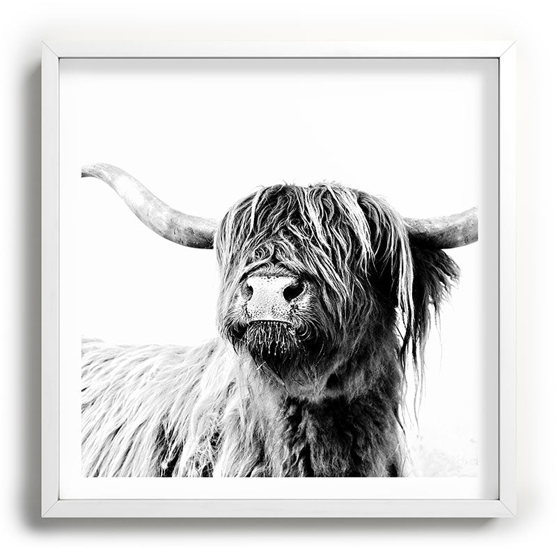 HIGHLAND CATTLE FRIDA Framed Art Print Gallery Image 118