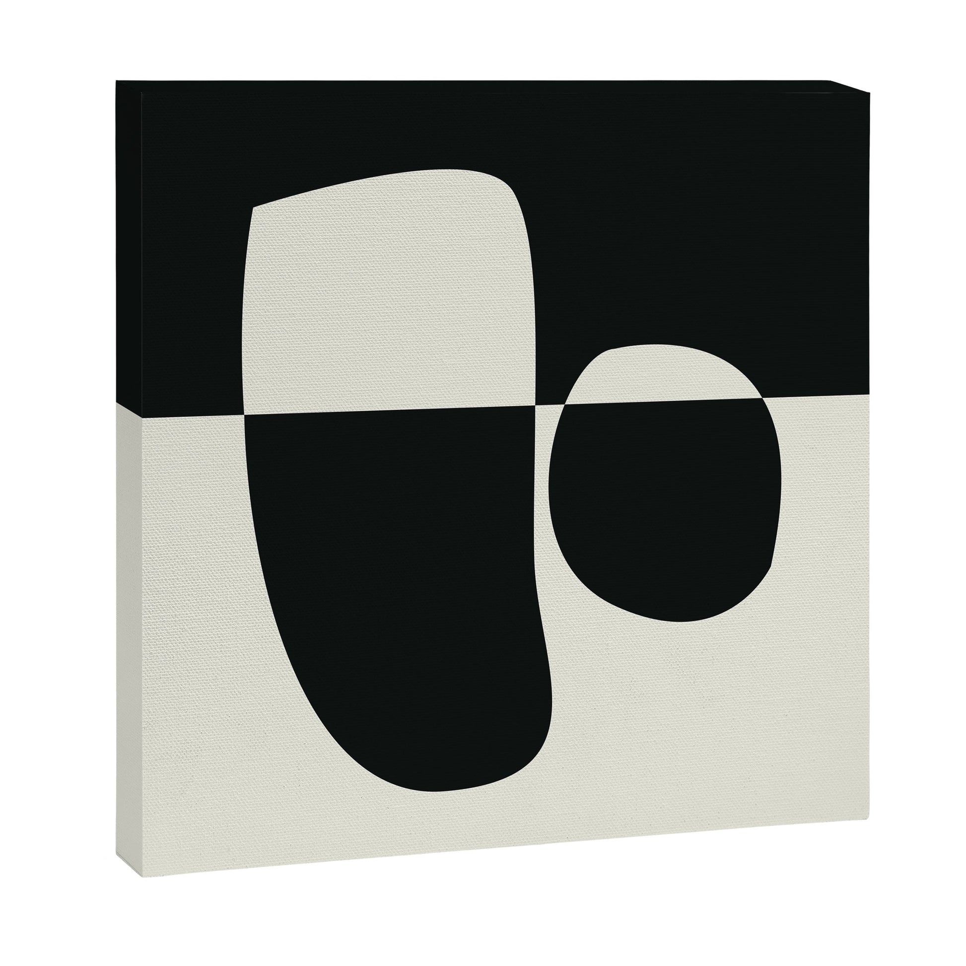 // Reverse 02 Canvas Print Gallery Image 2