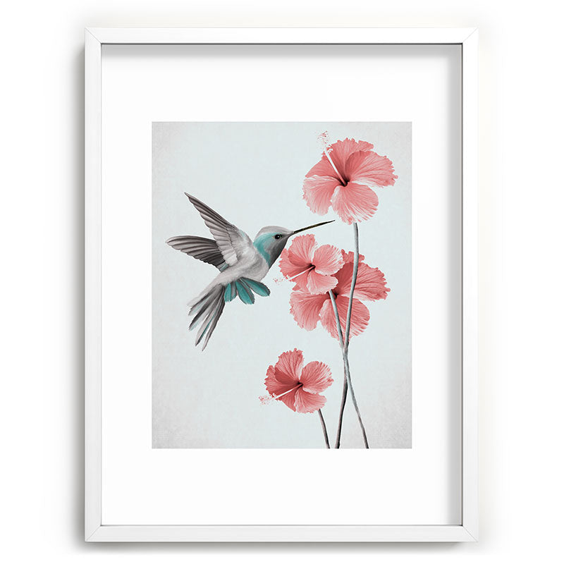 Hummingbird with Hibiscus Framed Art Print Gallery Image 79