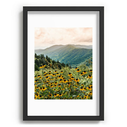 Smoky Mountains Wildflower Nature Photography Framed Art Print Gallery Image 59