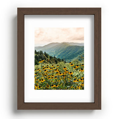 Smoky Mountains Wildflower Nature Photography Framed Art Print Gallery Image 63