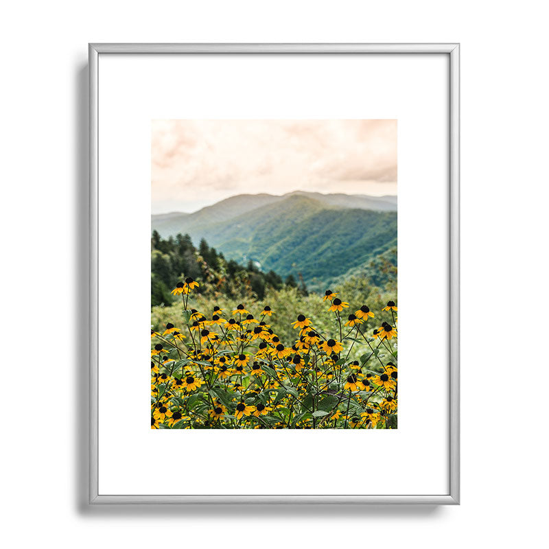 Smoky Mountains Wildflower Nature Photography Framed Art Print Gallery Image 96