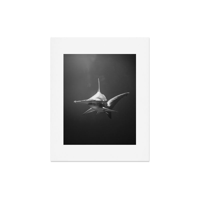 Hammerhead Shark (Black and White) Art Print Gallery Image 5