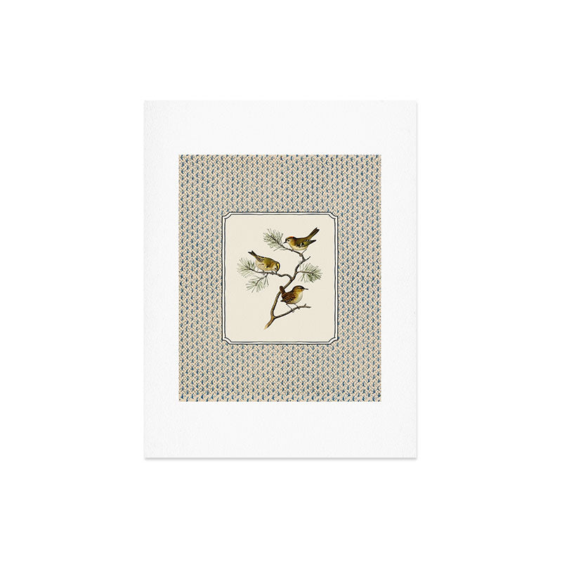 Three Wrens on a Branch Art Print Gallery Image 6