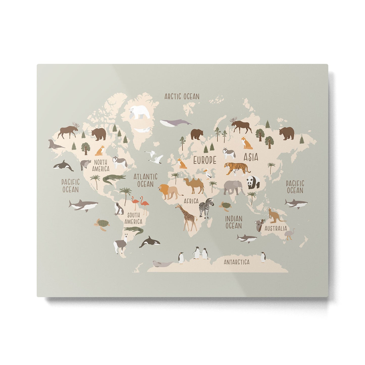 Kids world map with animals in green Metal Print Gallery Image 2