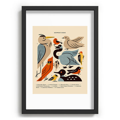 Midwest Birds Guide Framed Art Print Gallery Image 81