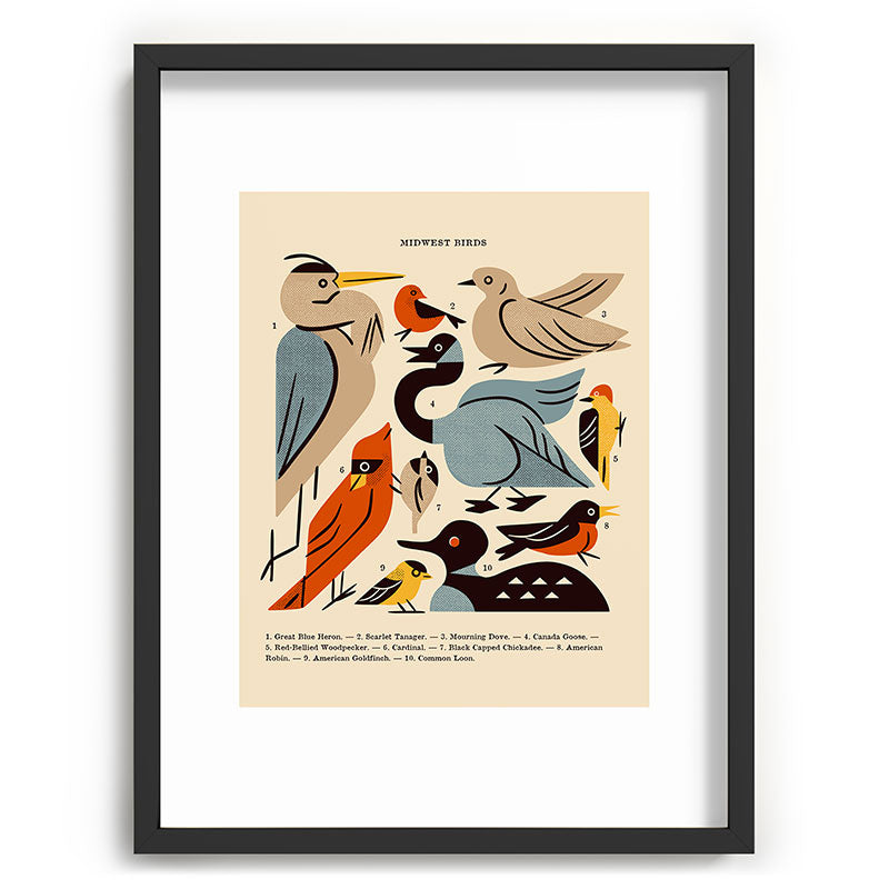 Midwest Birds Guide Framed Art Print Gallery Image 84