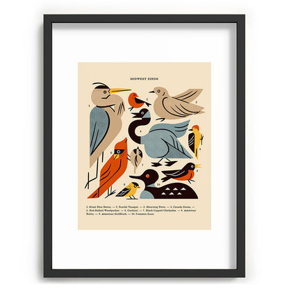 Midwest Birds Guide Framed Art Print Gallery Image 84