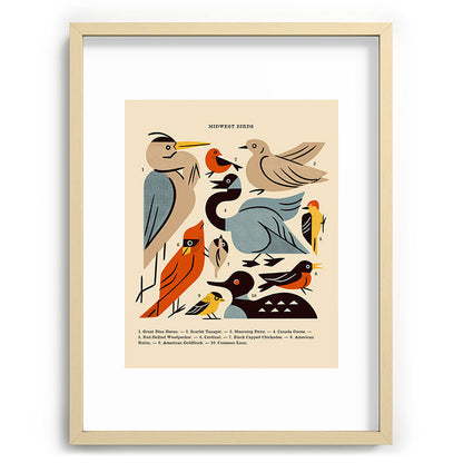 Midwest Birds Guide Framed Art Print Gallery Image 100