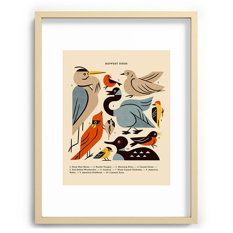 Midwest Birds Guide Framed Art Print Gallery Image 99