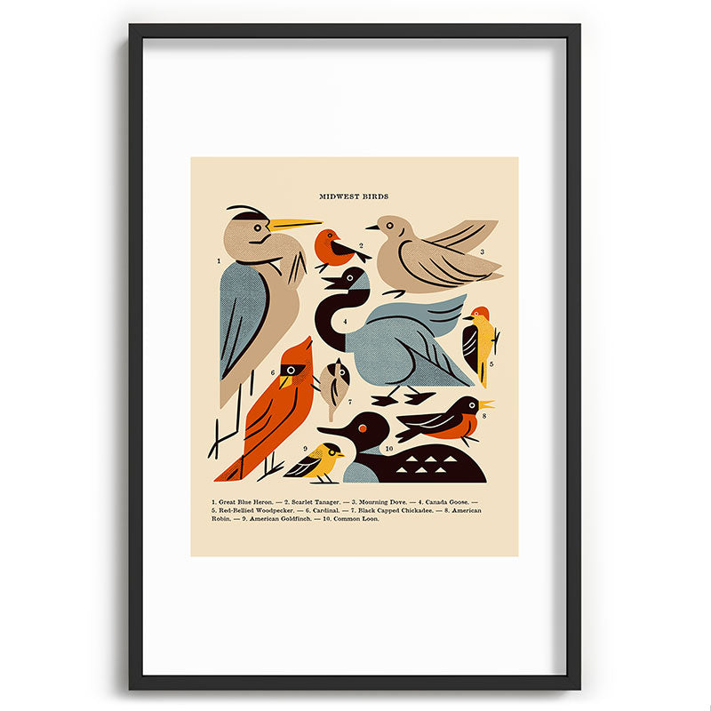 Midwest Birds Guide Framed Art Print Gallery Image 85